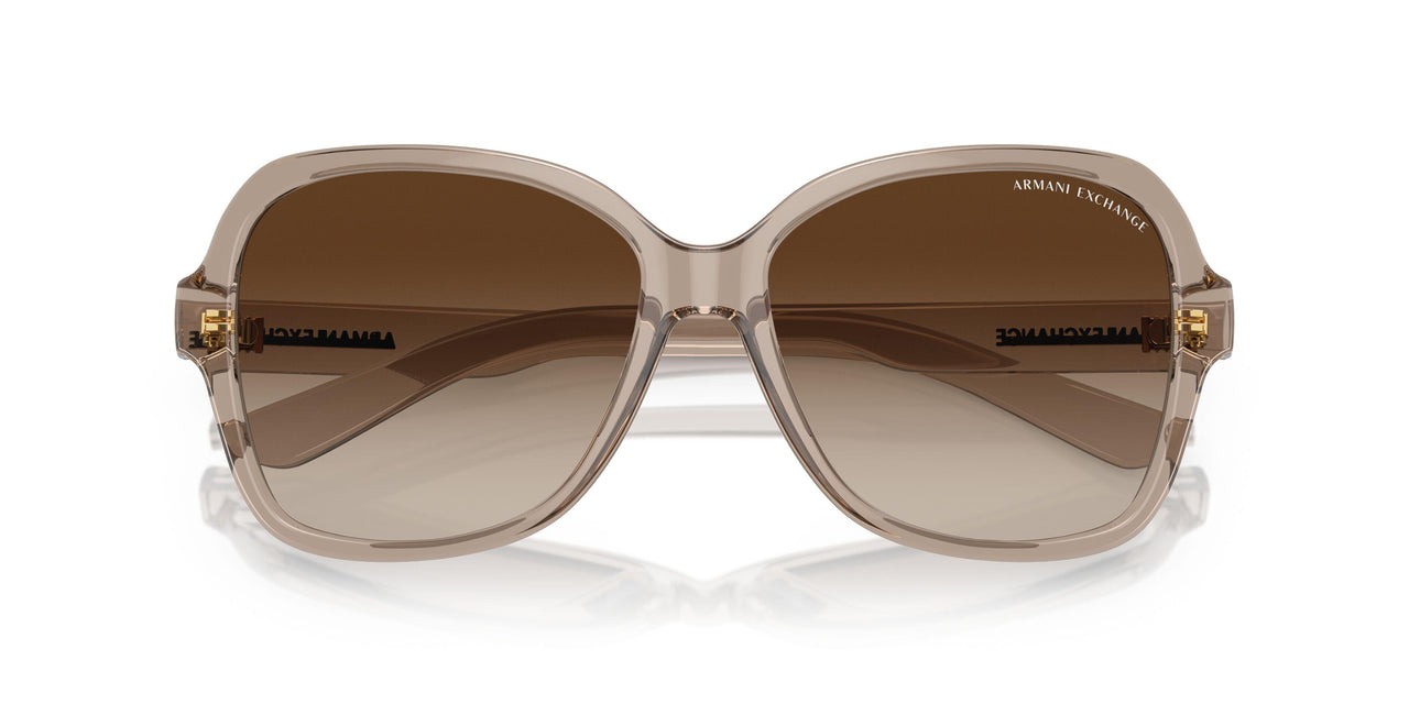 824013 - Brown - Gradient Brown