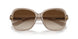 824013 - Brown - Gradient Brown