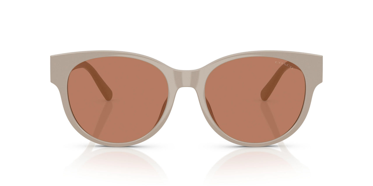 58843 - Brown - Brown Solid