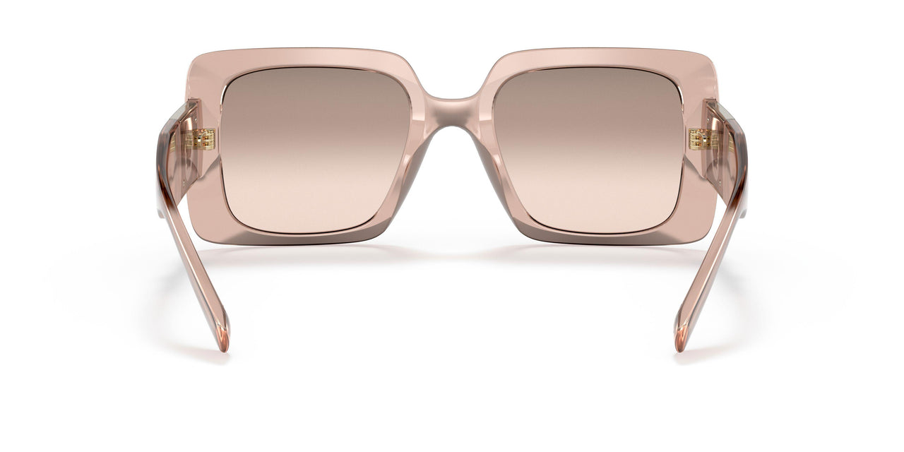 53394E - Pink - Brown Mirror Gradient Gold