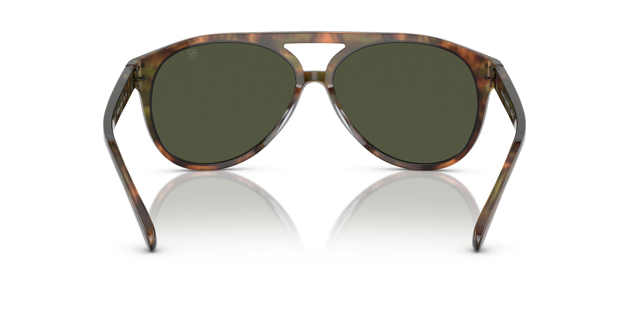 501731 - Tortoise - Green