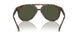 501731 - Tortoise - Green