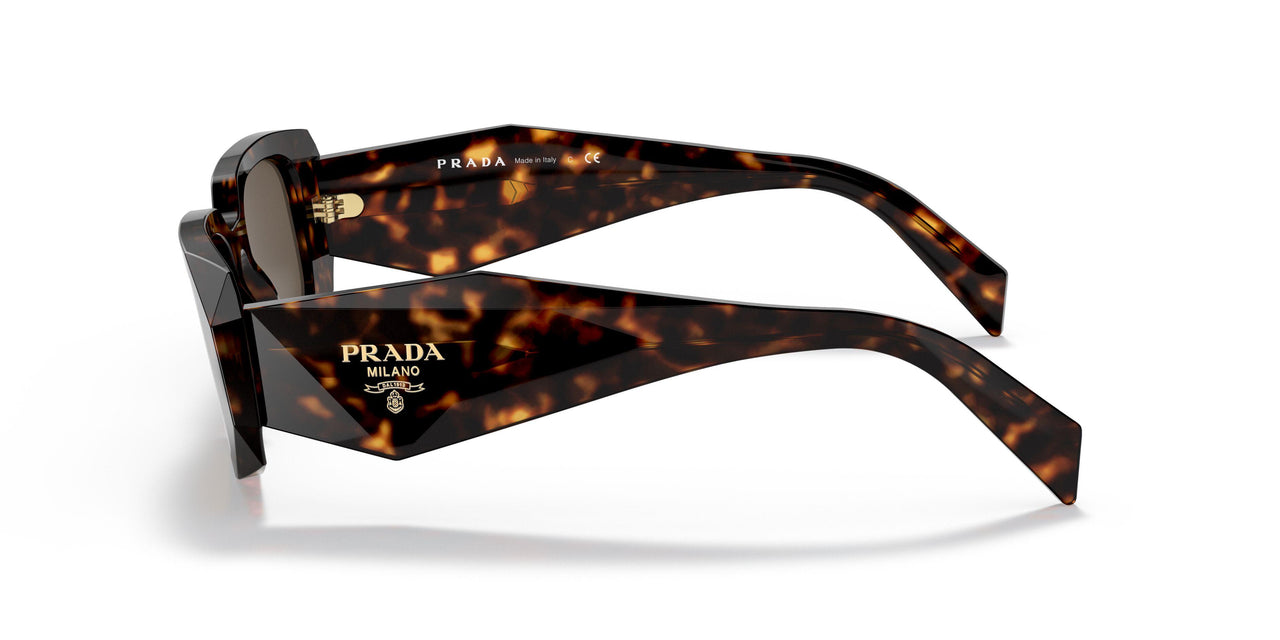 2AU8C1 - Havana - Brown