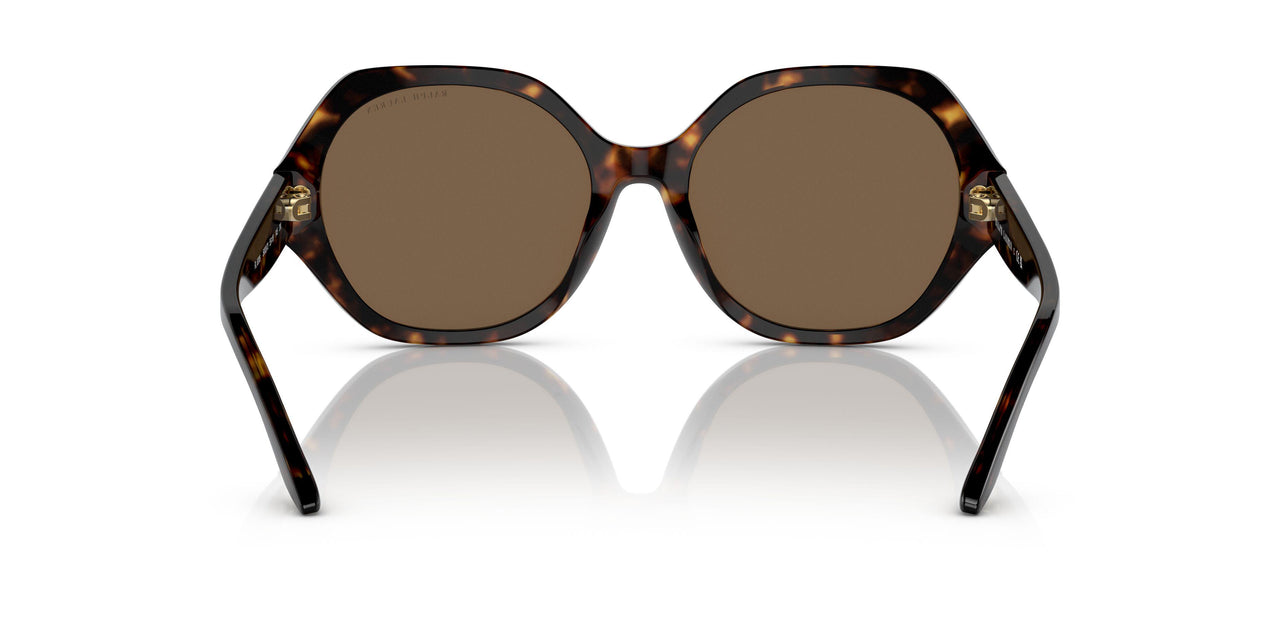 500373 - Havana - Dark Brown
