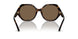 500373 - Havana - Dark Brown