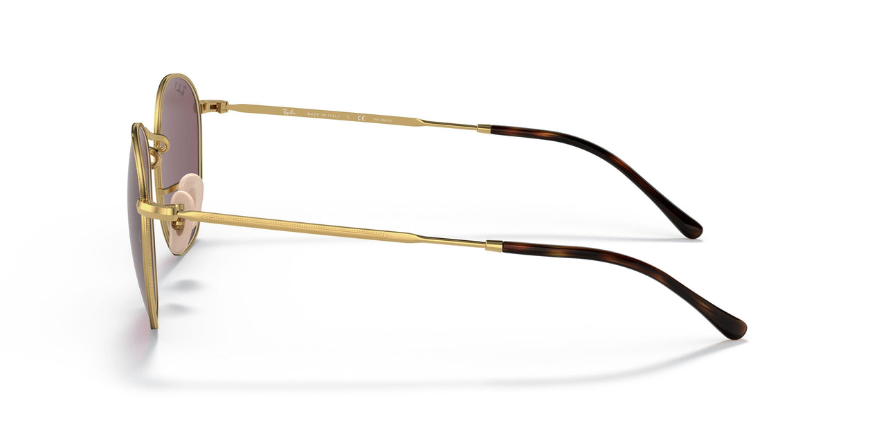001/AF - Gold - Dark Violet Polar