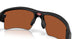 948816 - Black - Prizm Shallow Water Polarized