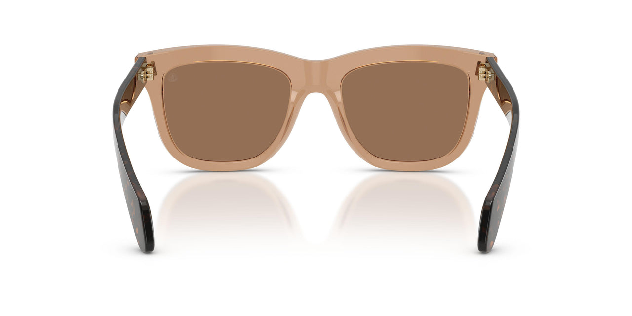 303773 - Brown - Dark Brown