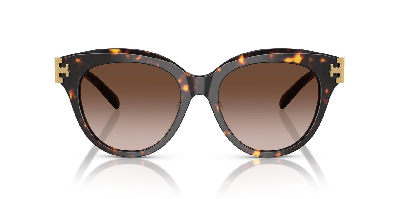 201613 - Tortoise - Brown Gradient