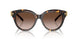 201613 - Tortoise - Brown Gradient