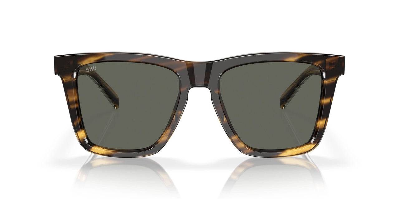 201504 - Tortoise - Gray