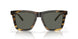 201504 - Tortoise - Gray
