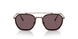 8016AF - Brown - Dark Violet Polar + Ar