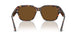 731/57 - Tortoise - Brown Polar