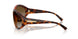 W656T5 - Brown - Gradient Brown Polar