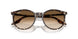143151 - Yellow - Clear Gradient Brown