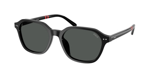 Polo 4234U Sunglasses