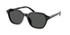 Polo 4234U Sunglasses