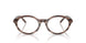 2036 - Brown