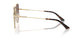 300613 - Gold - Gradient Brown