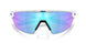 940302 - White - Prizm Sapphire Polarized