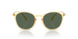 623871 - Yellow - Dark Green