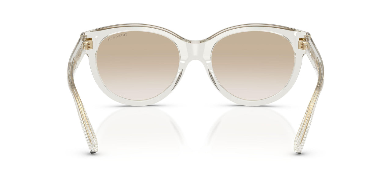 844511 - Brown - Neutral Gradient Light Grey