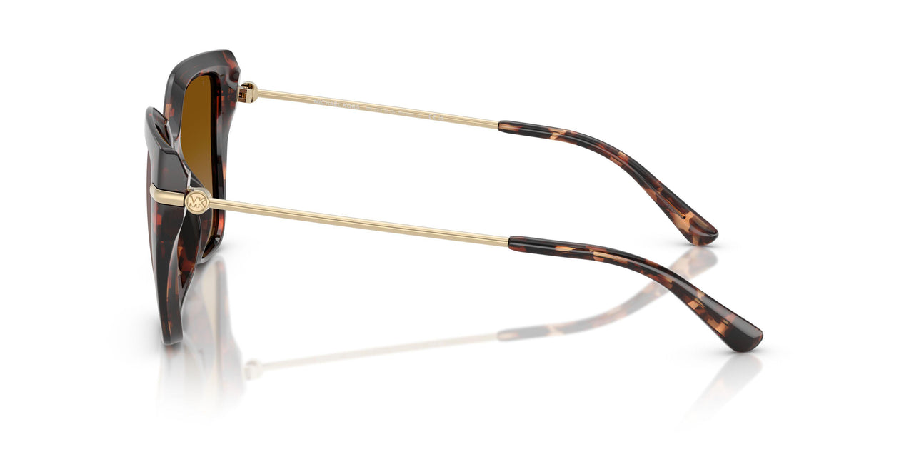 40319P - Tortoise - Brown Polar