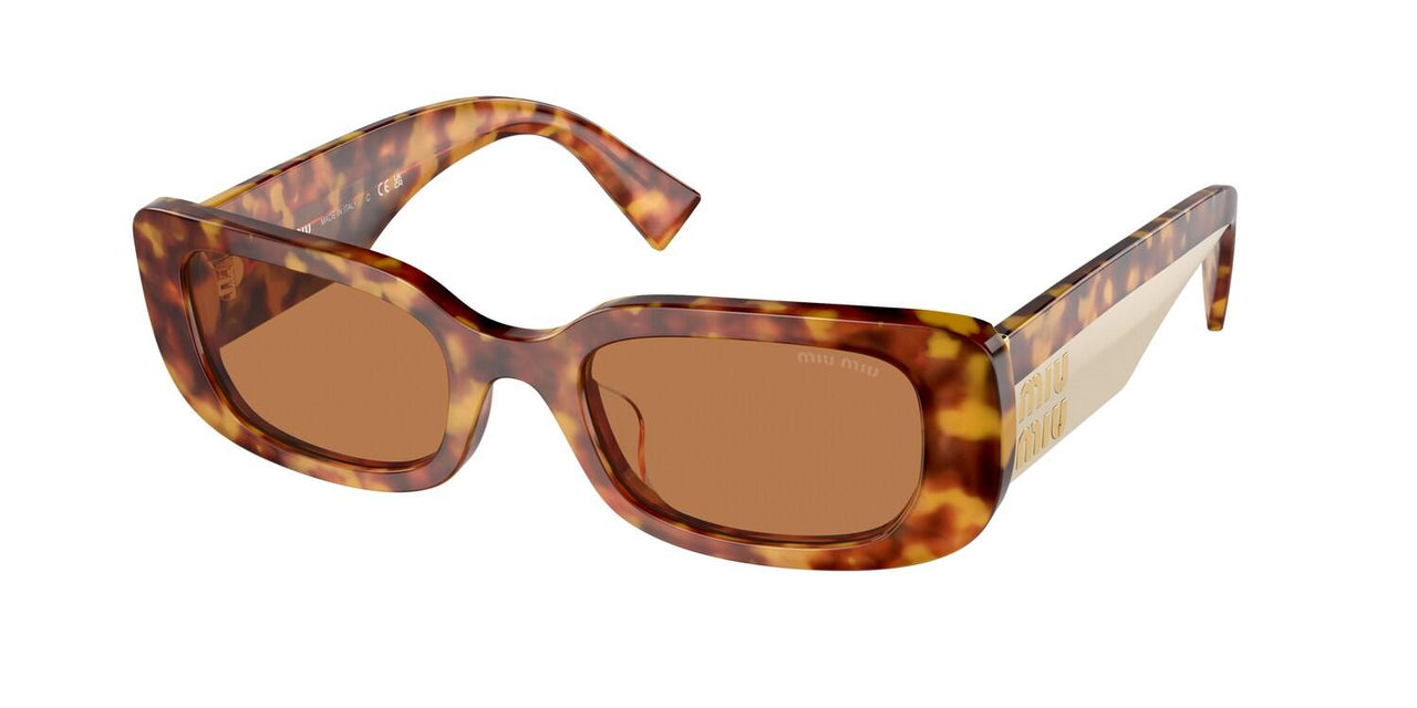 4BW2Z1 - Tortoise - Brown