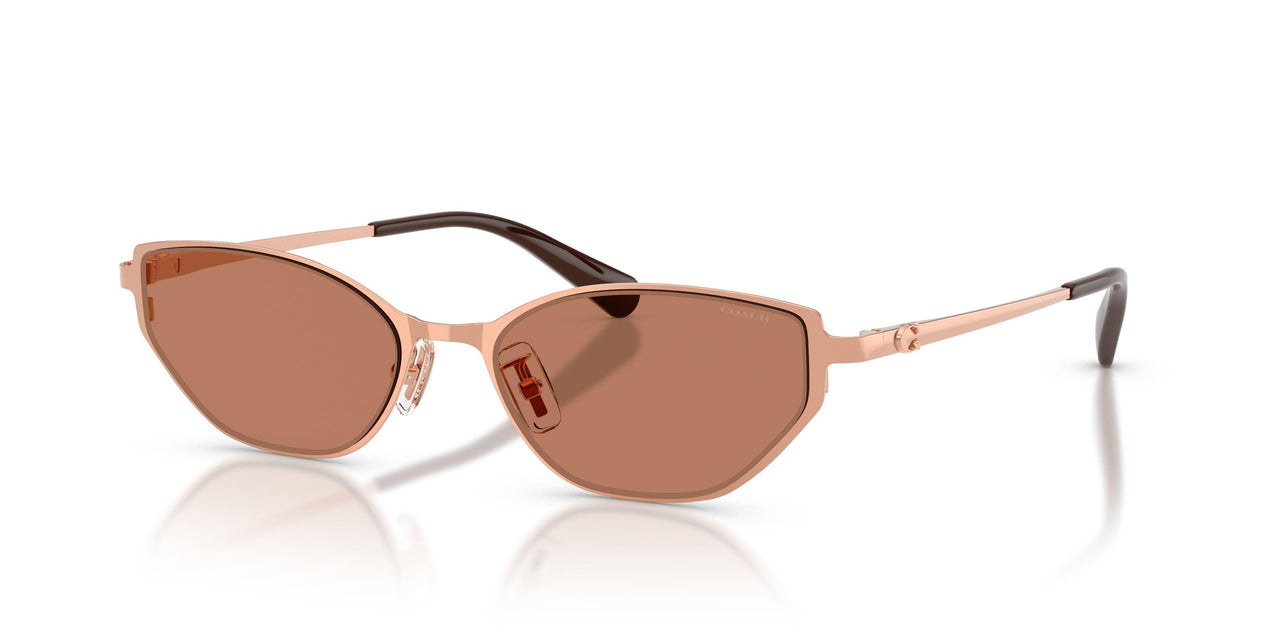 Coach Cfu22 7196D Sunglasses