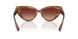 322113 - Tortoise - Gradient Brown