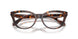 4031 - Tortoise