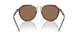 621273 - Tortoise - Dark Brown