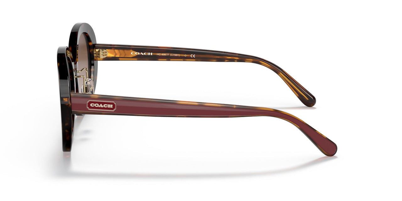 512013 - Havana - Brown Gradient