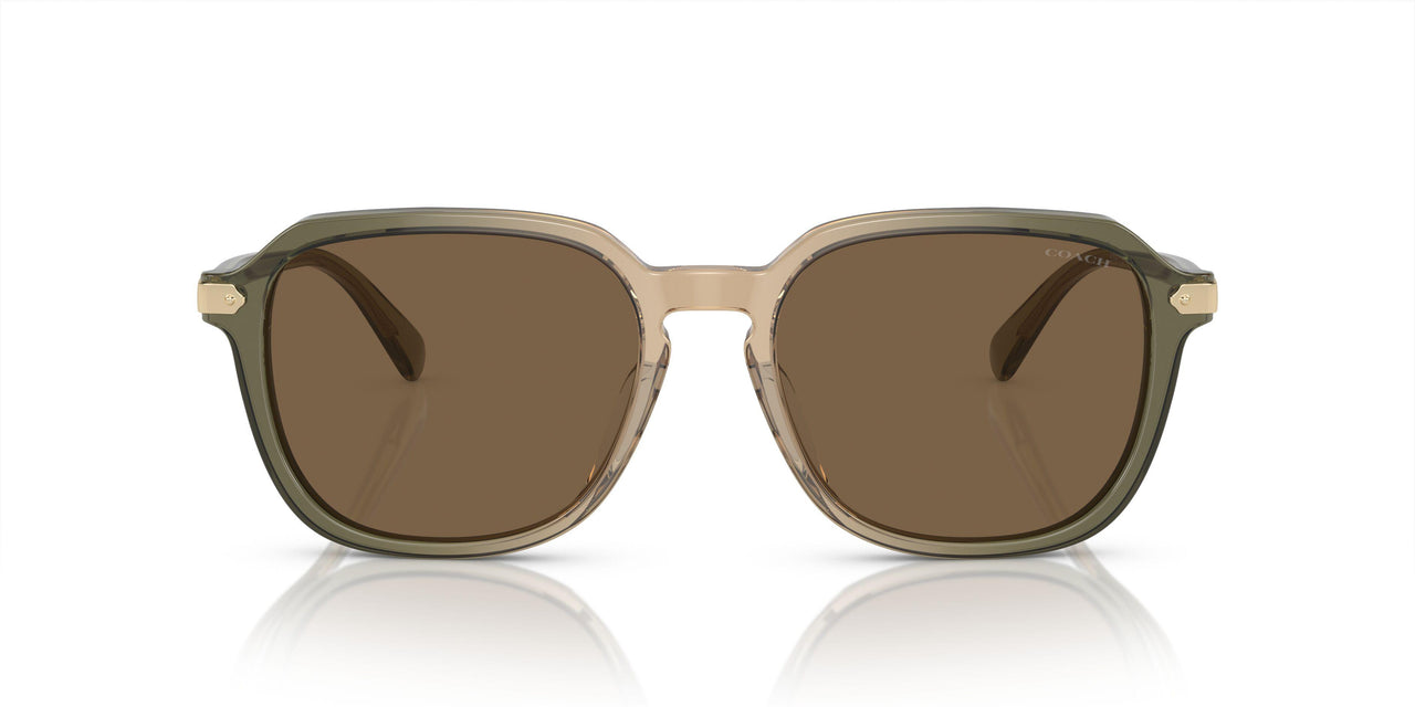 579773 - Transparent Green Tan Gradient - Brown Solid