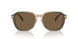 579773 - Transparent Green Tan Gradient - Brown Solid