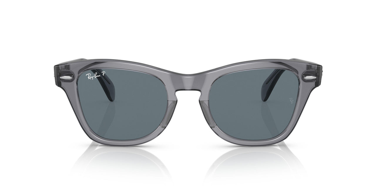 66413R - Grey - Dark Blue Polar
