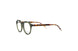 Divaldi DVO8251 Eyeglasses