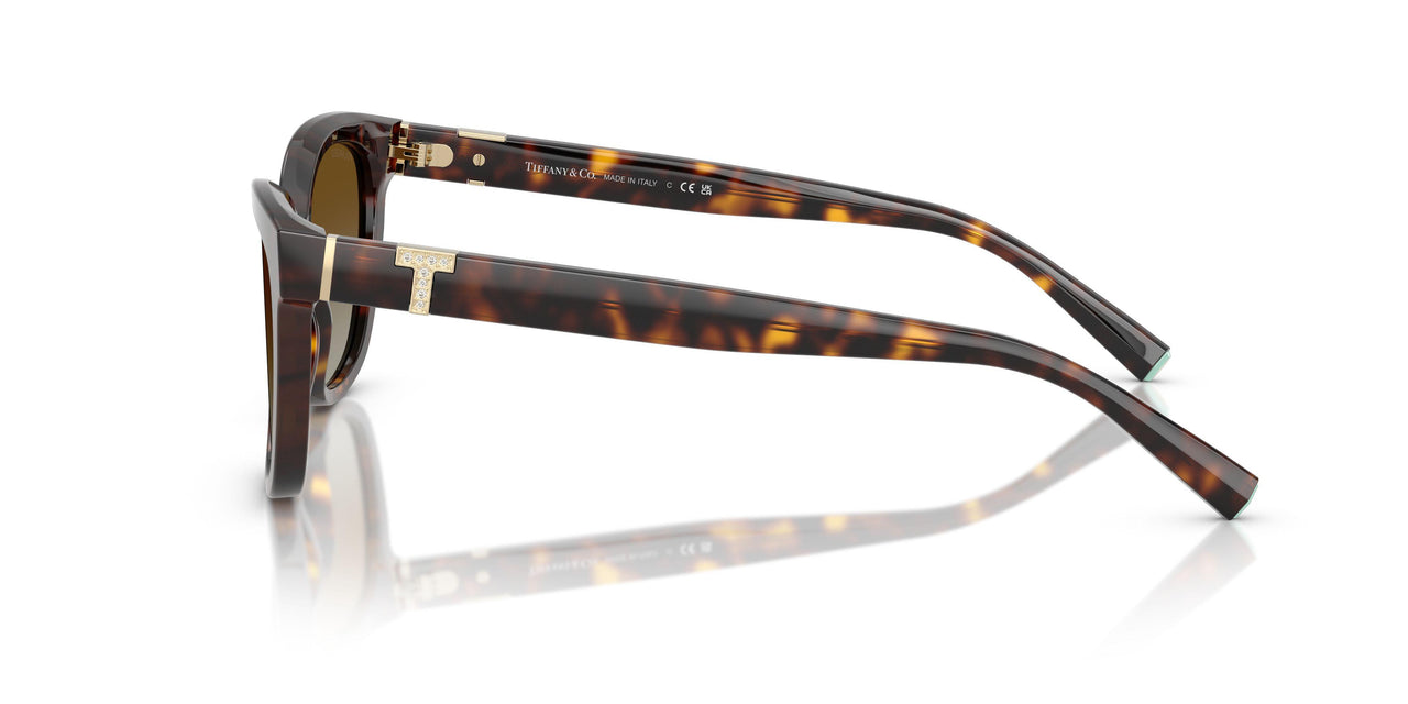 8015T5 - Tortoise - Polar Brown Gradient