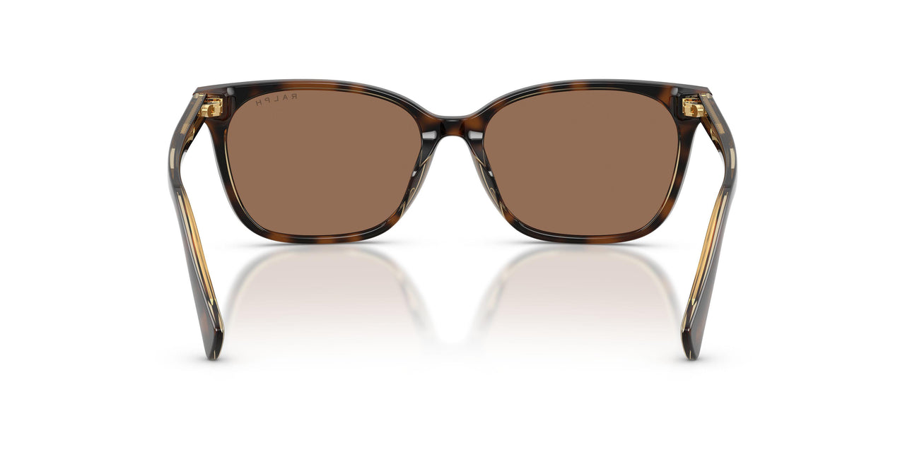 629473 - Blue - Brown