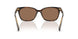 629473 - Blue - Brown