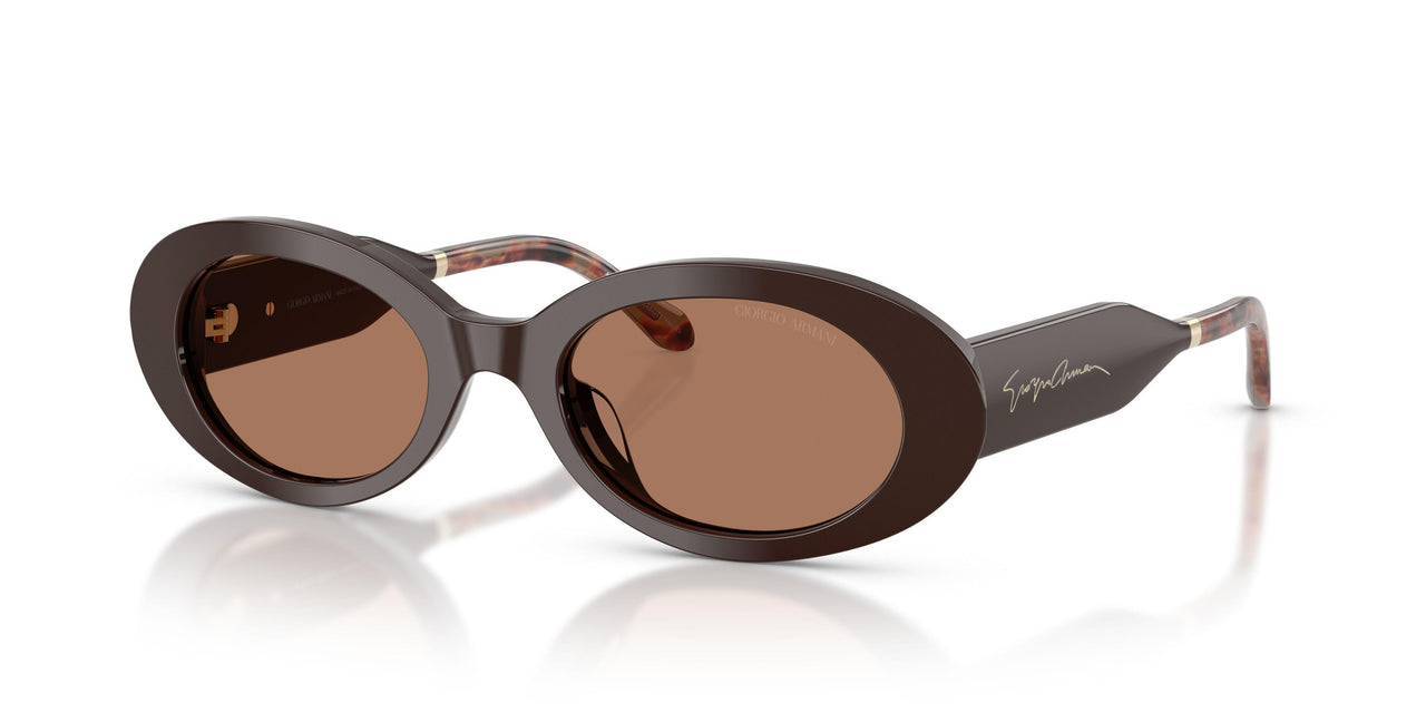 622773 - Brown - Brown
