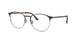 3172 - Tortoise - Clear