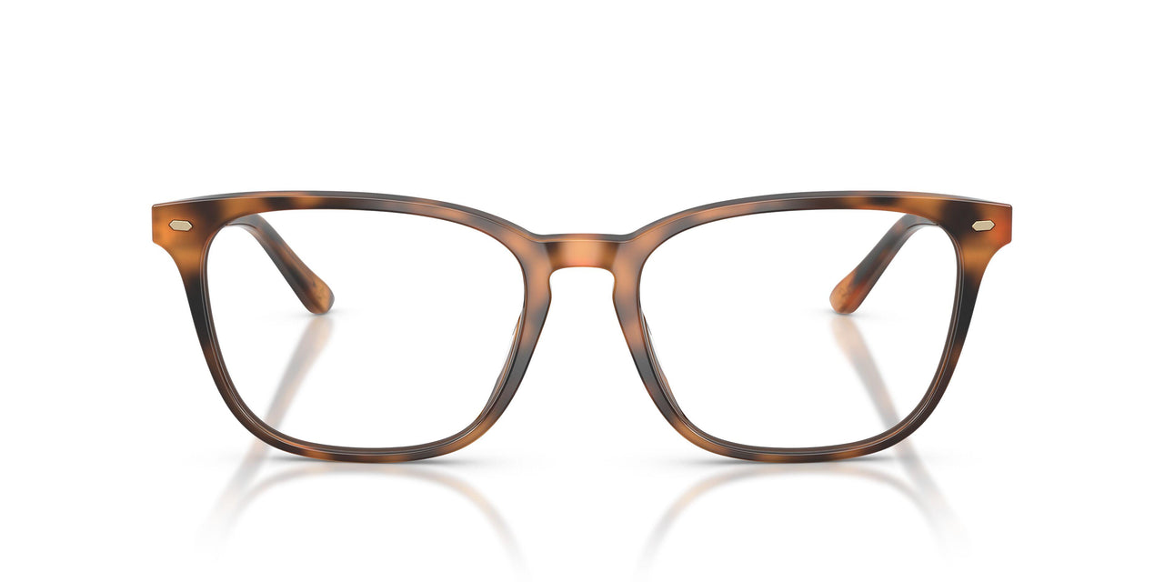 6161 - Tortoise