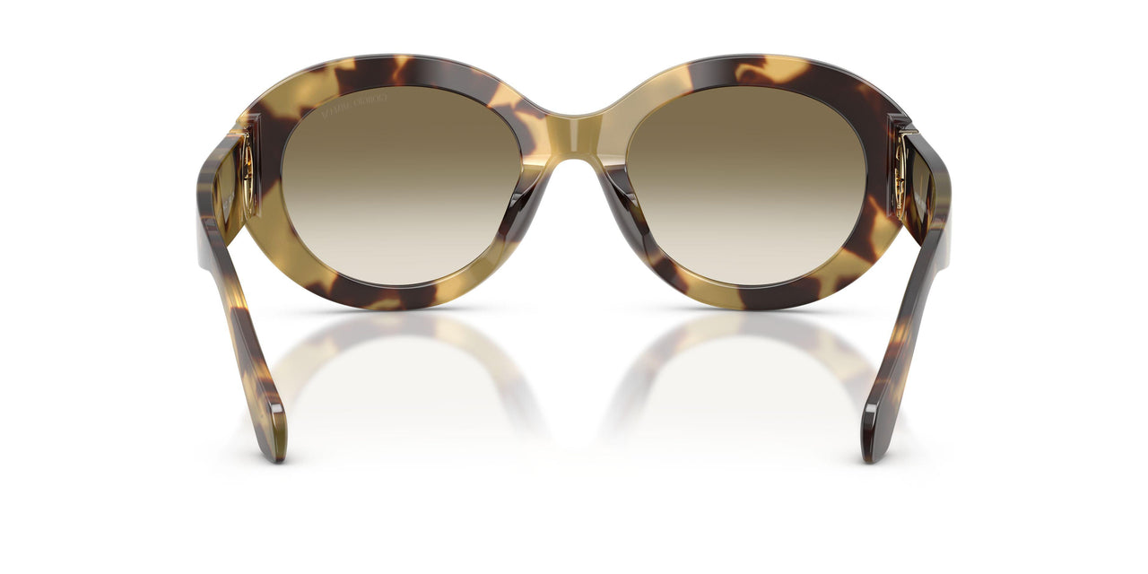 630113 - Tortoise - Brown Gradient