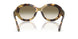 630113 - Tortoise - Brown Gradient