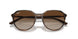 710/13 - Brown - Brown