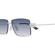 005 - Silver - Blue