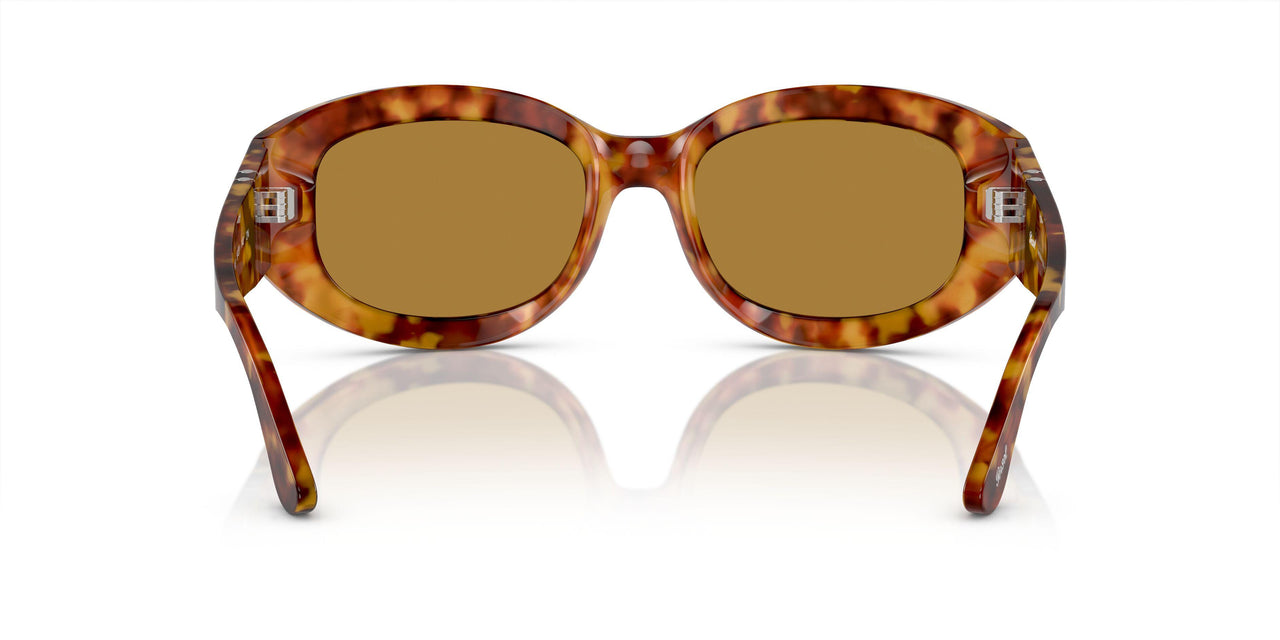 106/53 - Tortoise - Brown