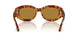 106/53 - Tortoise - Brown
